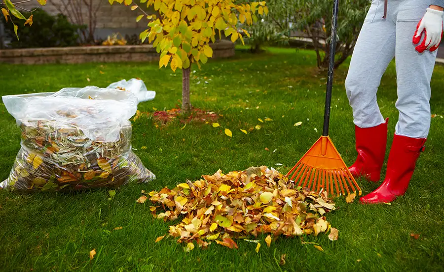 Yard Waste Removal in Shirley, NY Yard Waste Removal in Shirley, NY